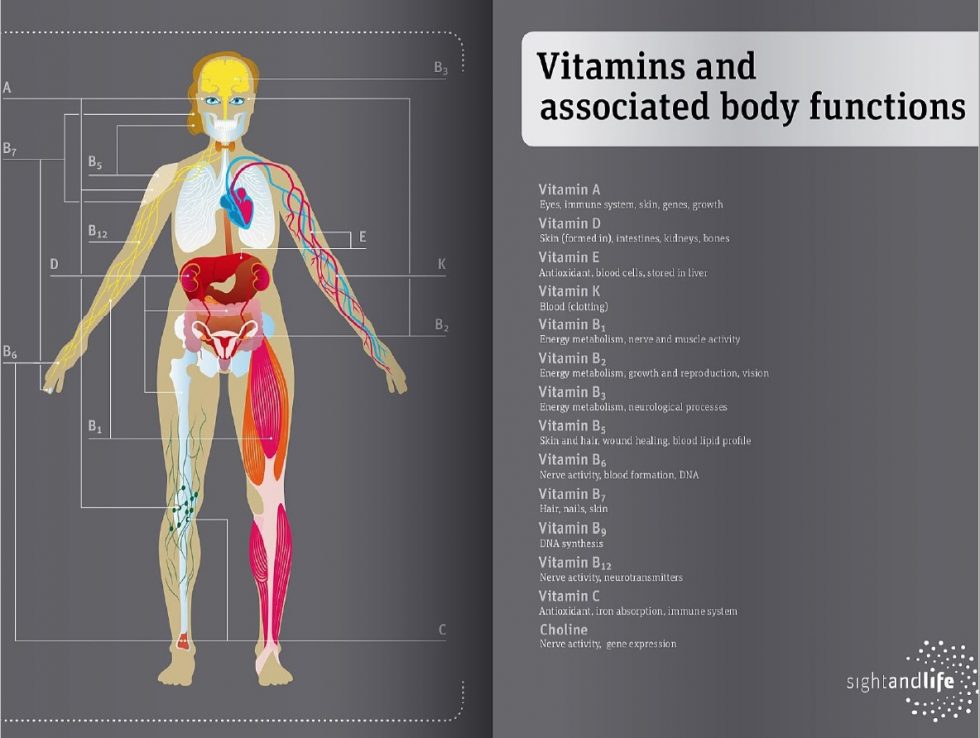 Function Of Vitamins What Are Vitamins And Minerals Bioanalyt 1770