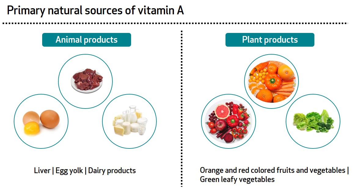 genade stikstof vertel het me Learn About Your Vitamins and Minerals: Vitamin A and Iron - Bioanalyt