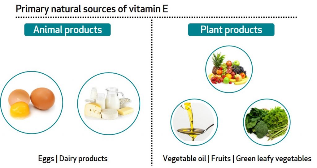 vitamin e sources