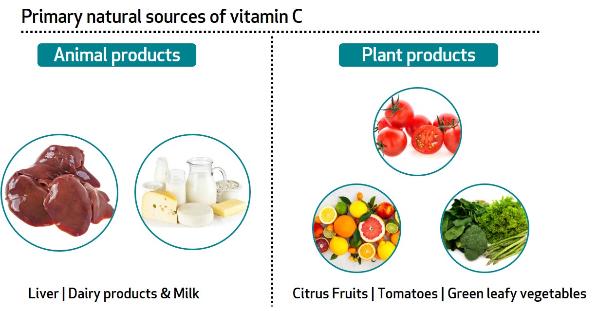Learn About Your Vitamins And Minerals Vitamin C And Zinc Bioanalyt