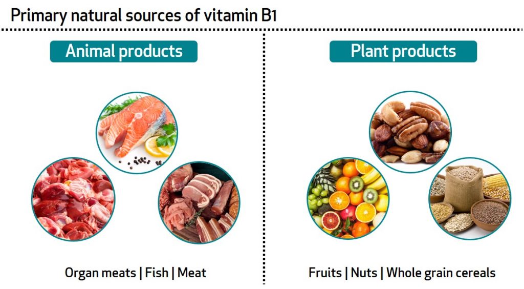 Learn About Your Vitamins Minerals: B1 - Bioanalyt